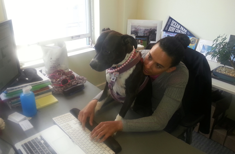 Learning from BLAZE PR's Social Media Approach
