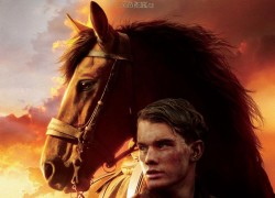 Movie review: War horse too sensitive for setting