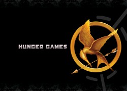 Hunger Games book captivates