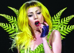 Duke professor names new fern genus in honor of Lady Gaga